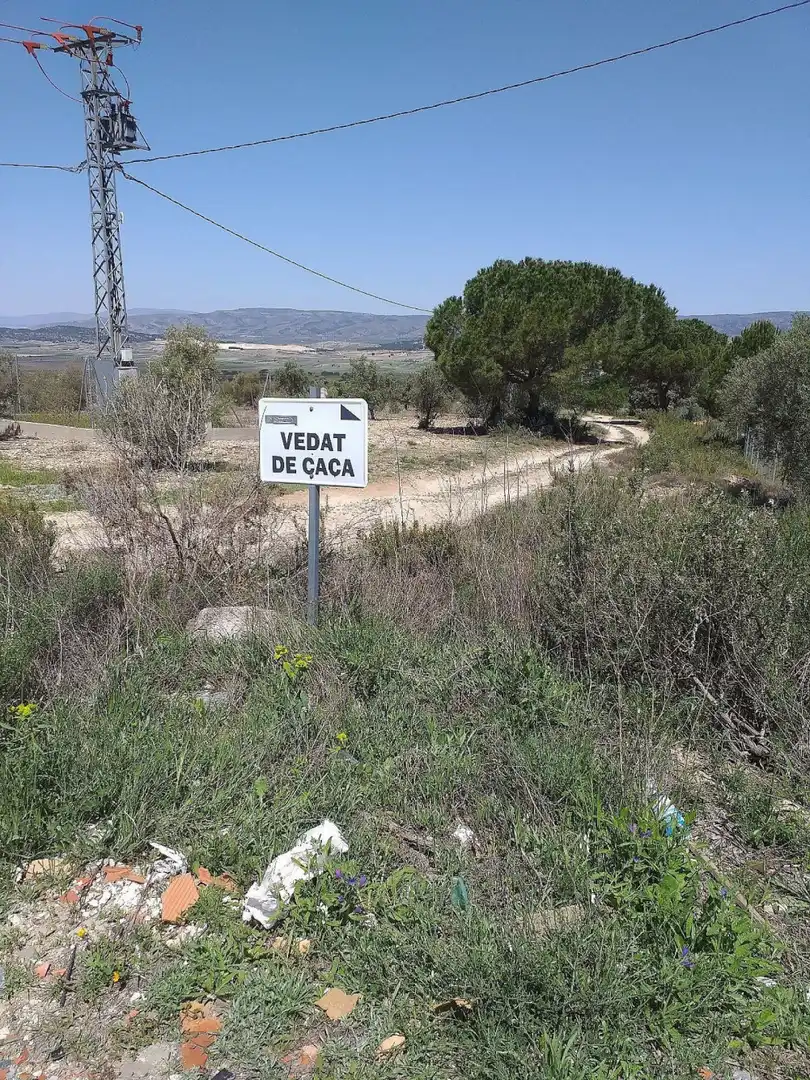 Residential land for sale in Biar, imagen 4