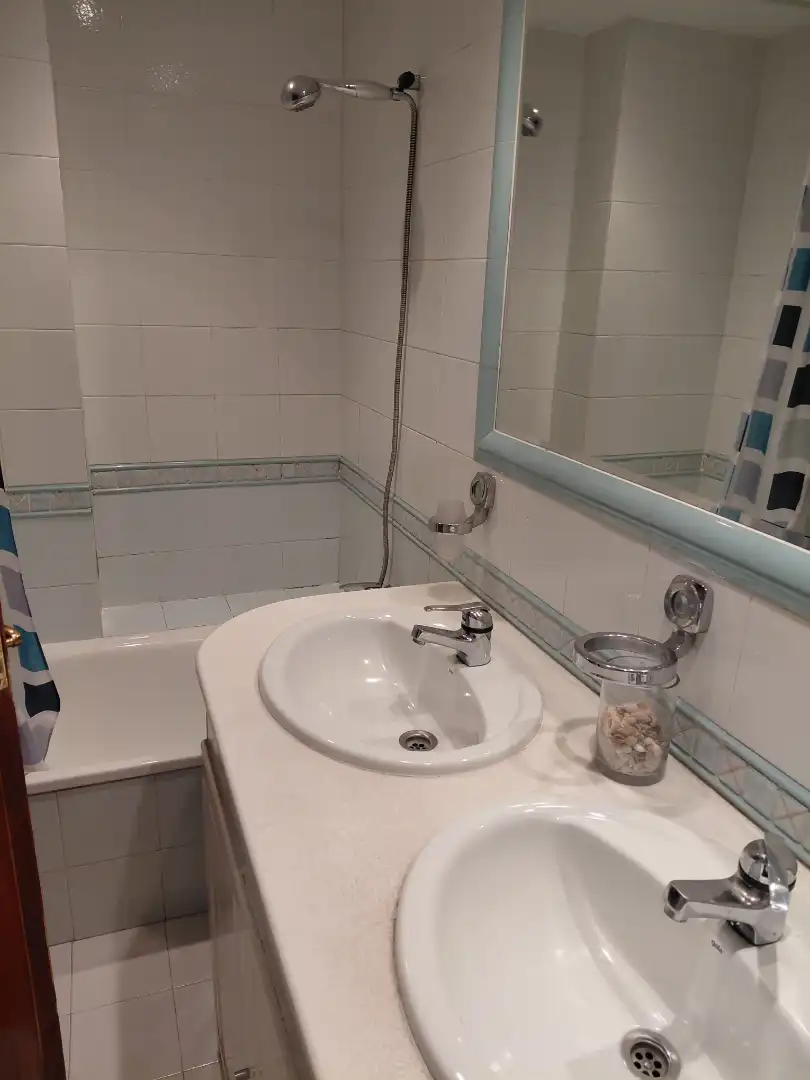 Baño de Dúplex de alquiler en A Coruña Capital  con Jardín privado, Parquet y Amueblado