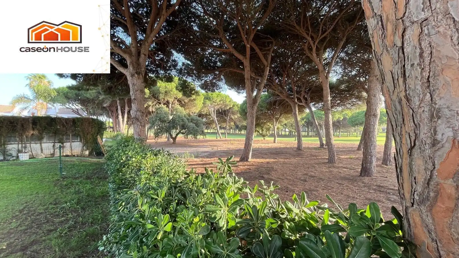 Jardí de Apartament en venda en Chiclana de la Frontera amb Piscina comunitària
