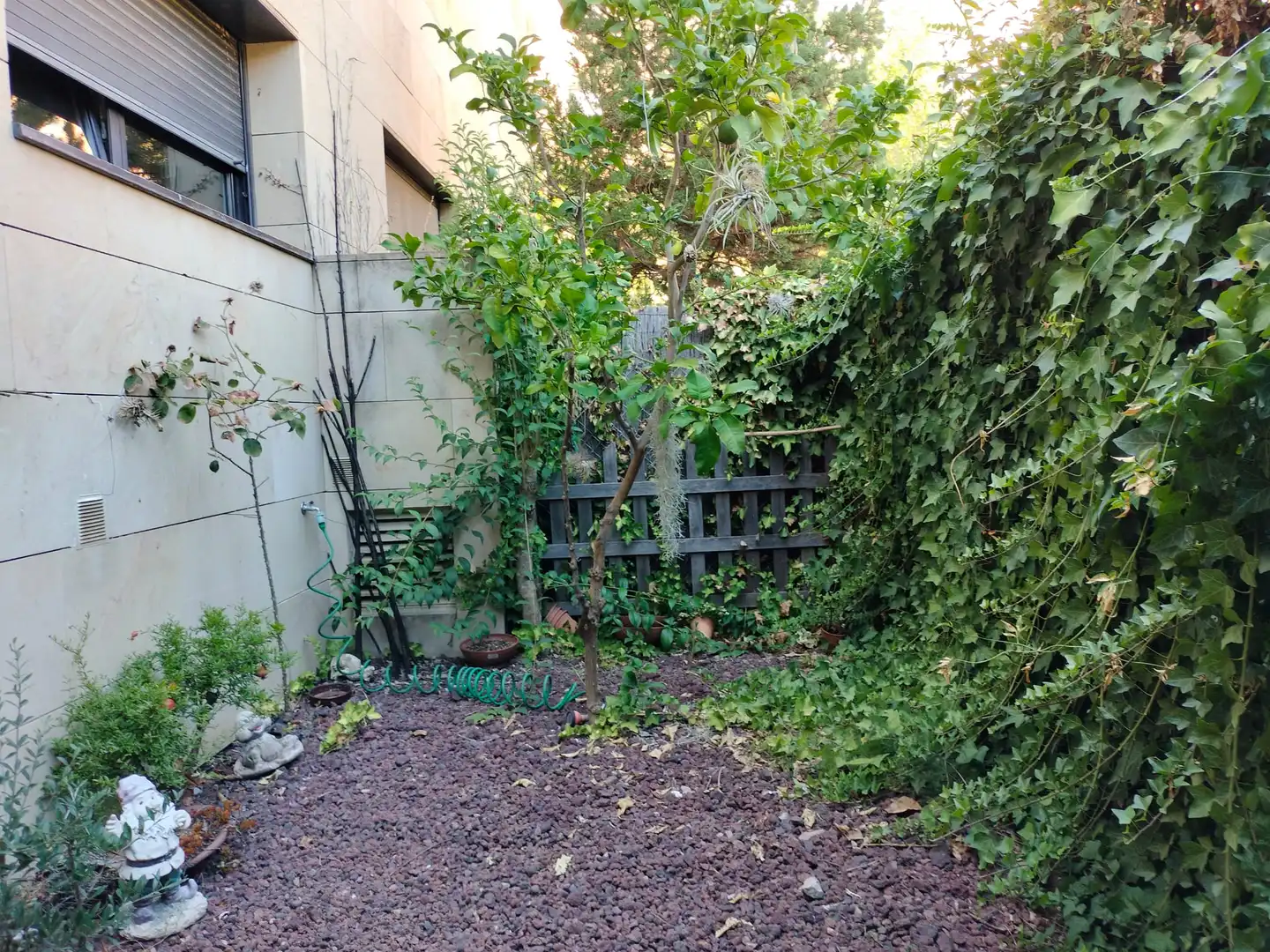 Garden of Detached homes for sale in Sabadell  with Private garden, Terrace and Storage room