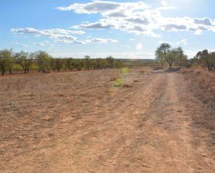 Residencial en venda en Iniesta