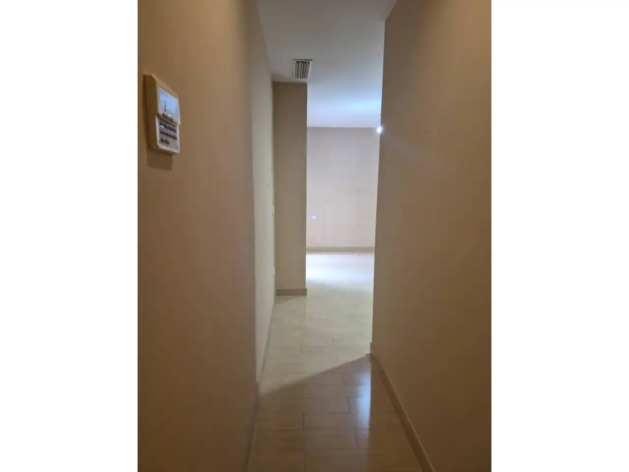 Detached homes for sale in Centro