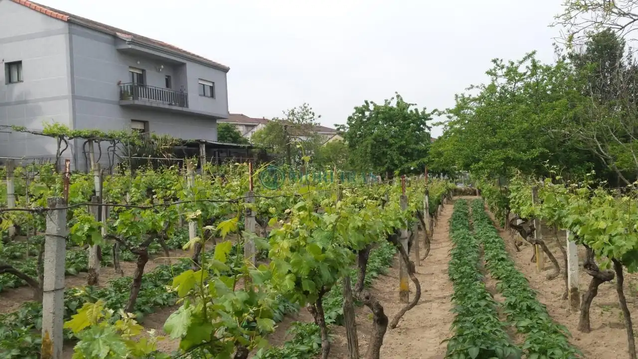 Jardín de Casa o chalet en venta en Ourense Capital  con Calefacción y Jardín privado