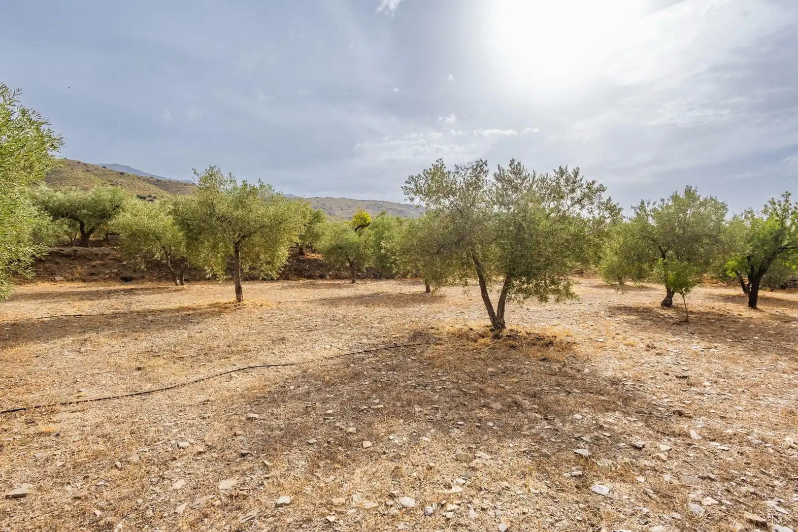 Country homes for sale in Abrucena  with Storage room