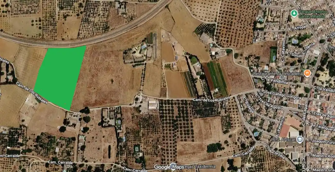 Rural land for sale in Villanueva del Ariscal, imagen 2