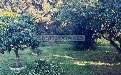 Casa o xalet en venda en Chiclana de la Frontera