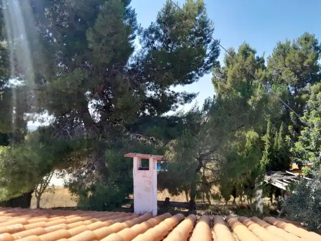 Detached house with pool for sale in Montroi / Montroy, imagen 40