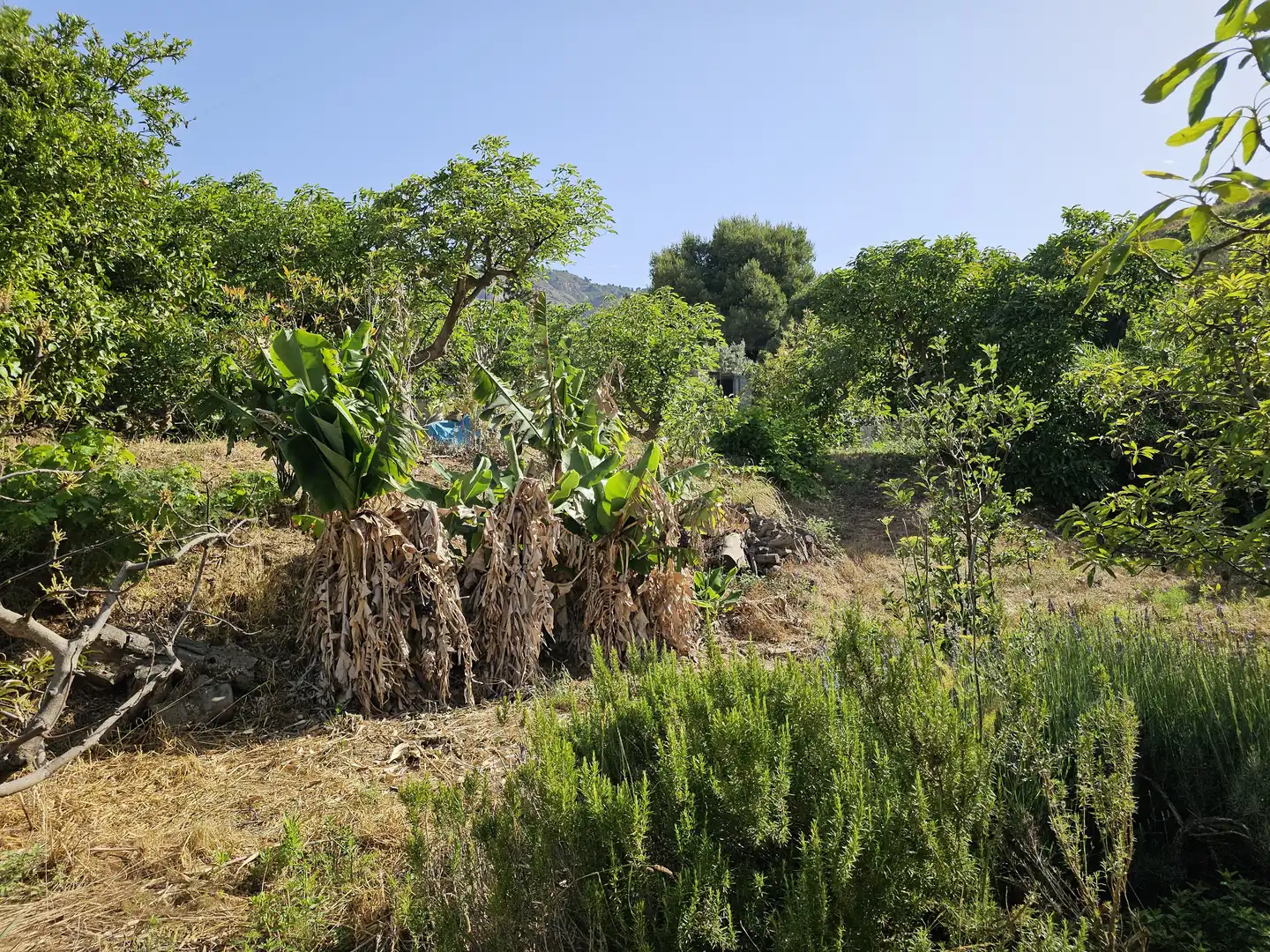 Country house for sale in El Rescate - Río Seco, imagen 25