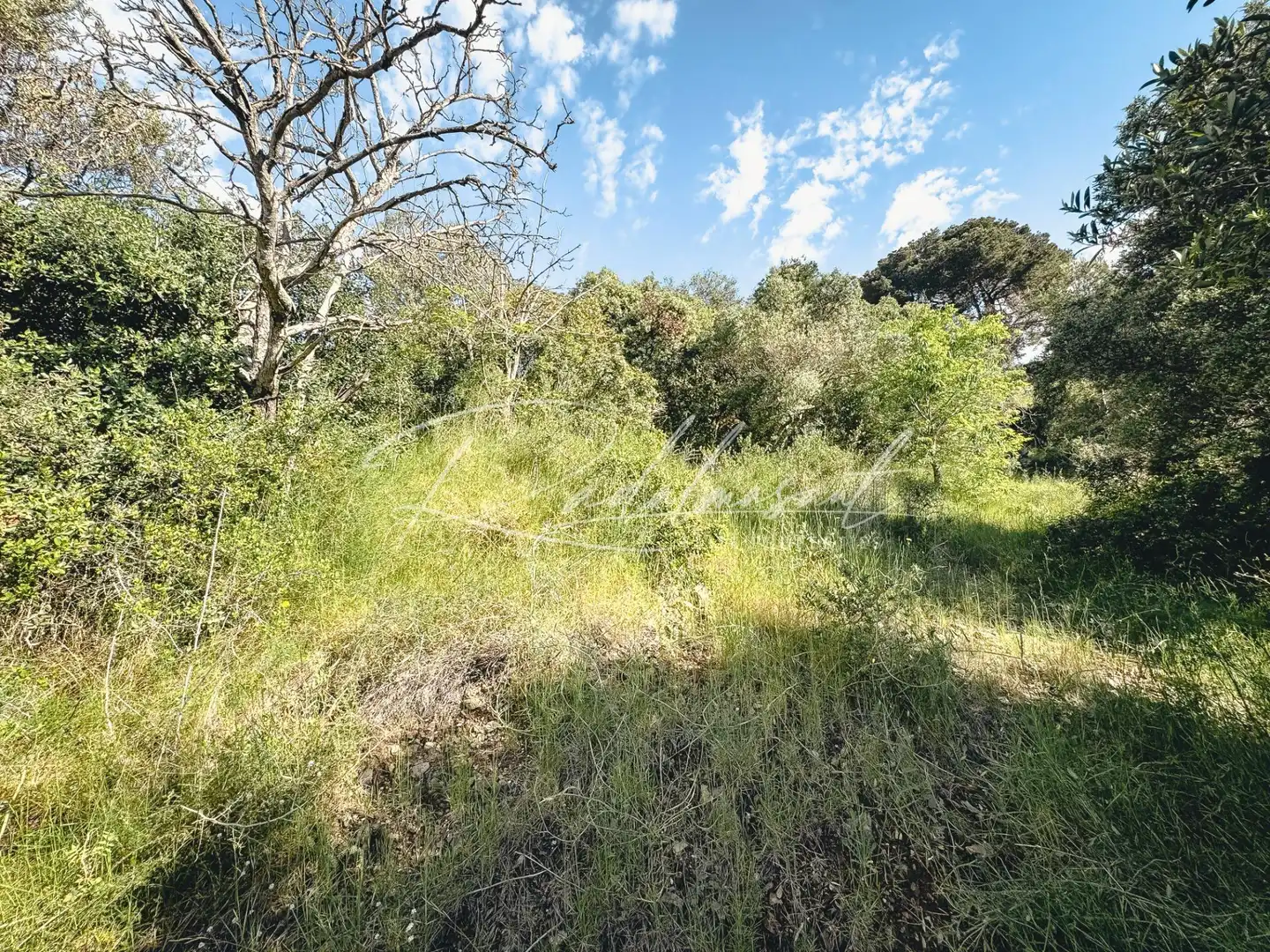 Terrain résidentiel à vendre à Almoster, imagen 8