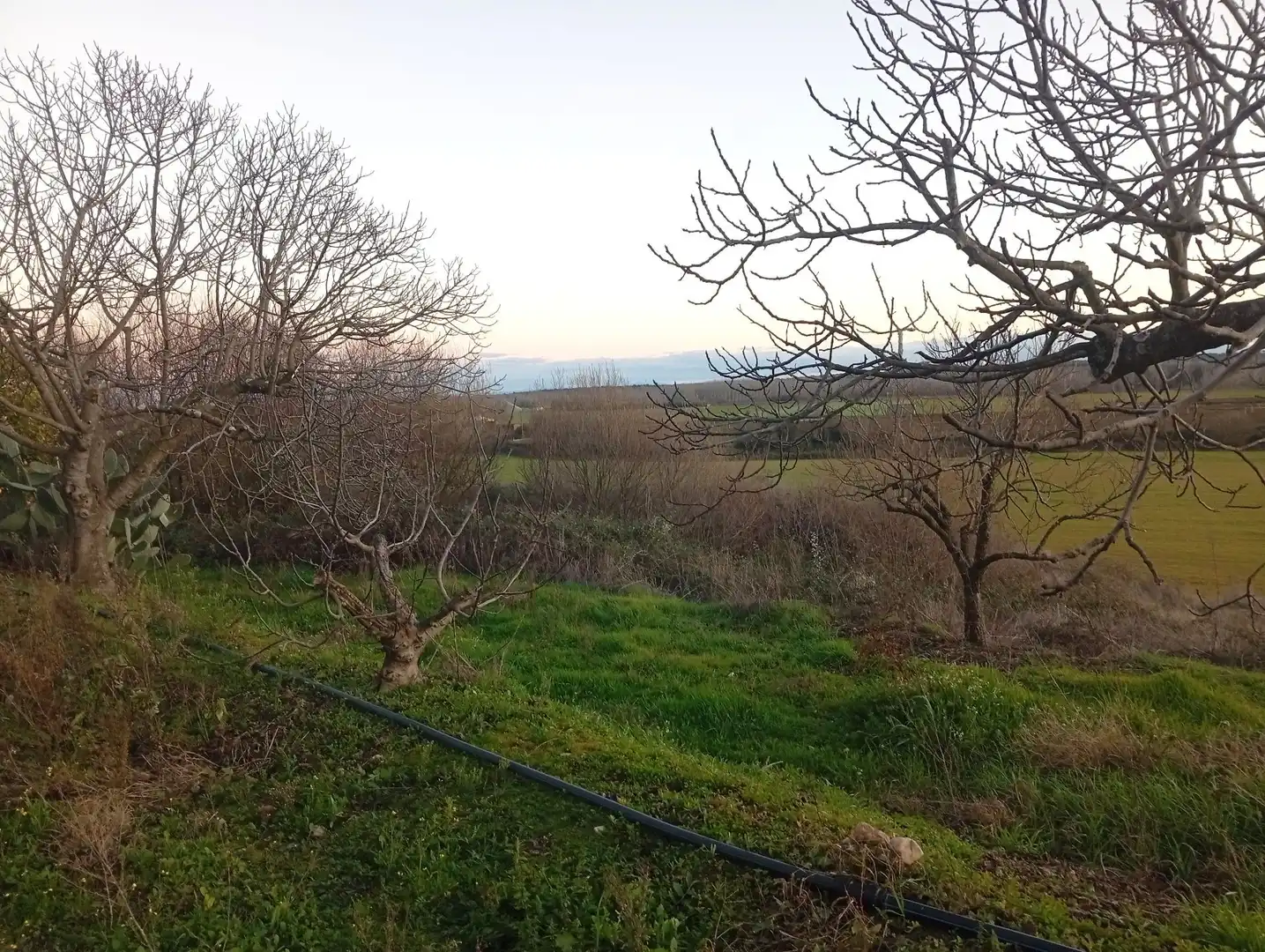 Land for sale in Losar de la Vera