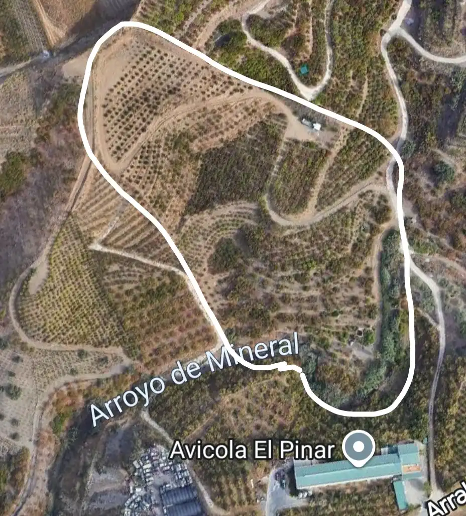 Terreno rustico in vendita a Diseminado Real Alto, imagen 20