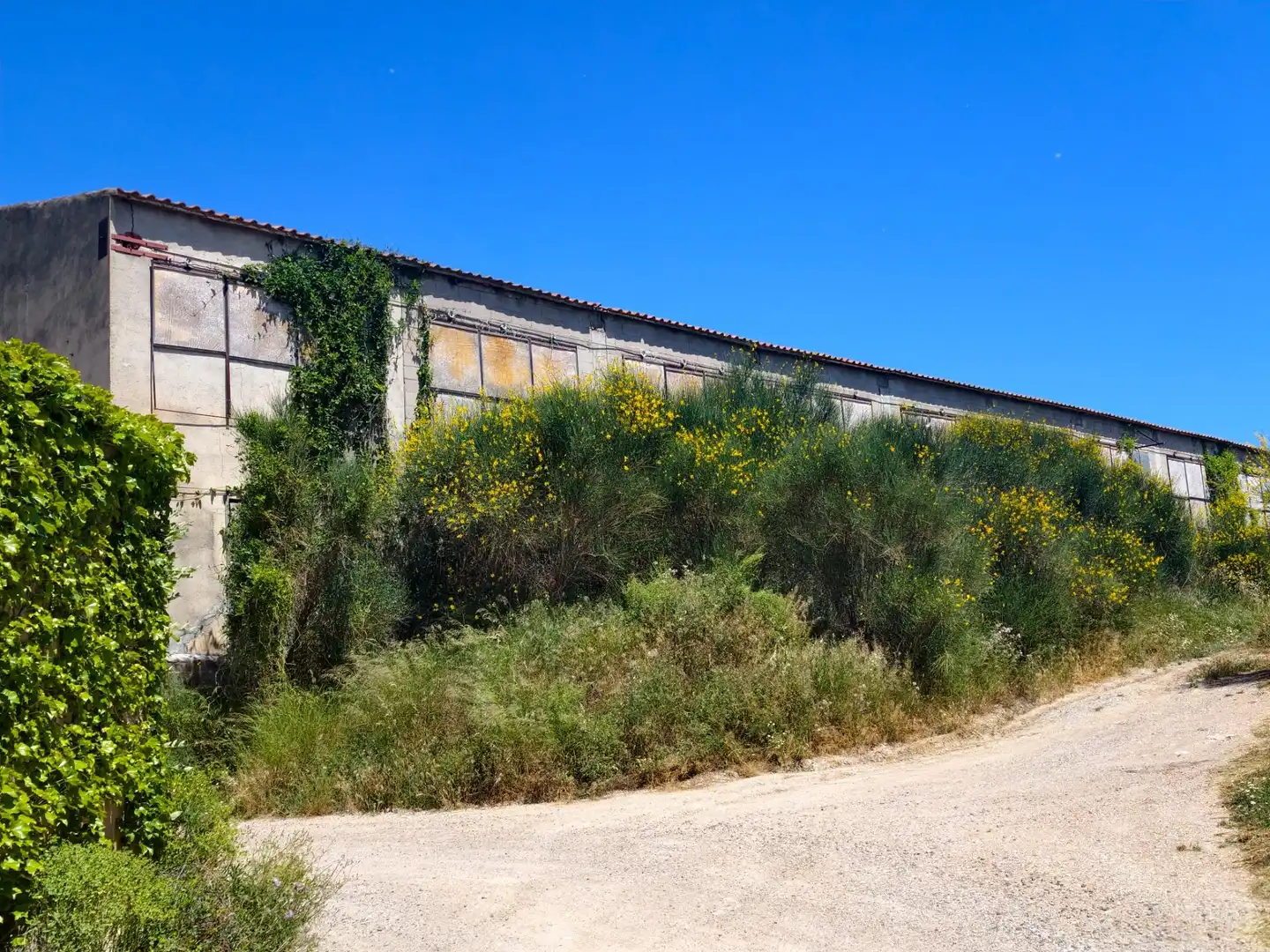 Vista exterior de Nave industrial en venta en Salomó