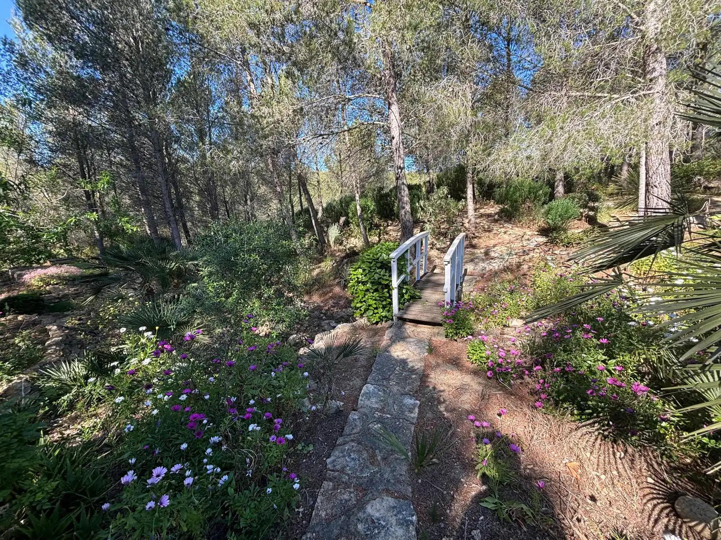 Jardí de Casa o xalet en venda en L'Ametlla de Mar  amb Jardí privat, Terrassa i Traster