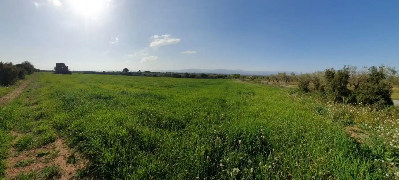 Rural land for sale in Godall