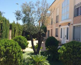 Garden of House or chalet to rent in Elche / Elx  with Air Conditioner, Terrace and Swimming Pool