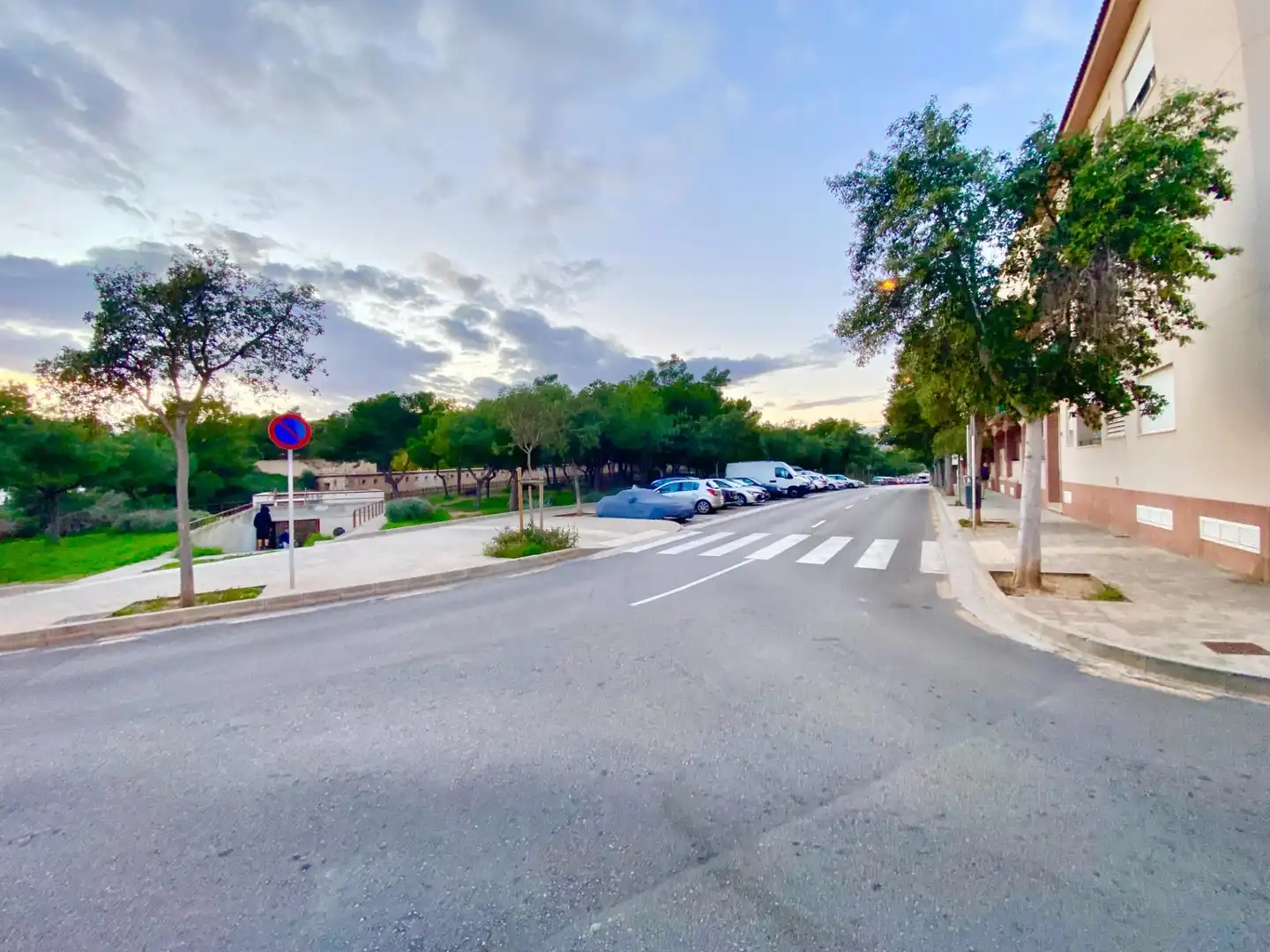 Exterior view of Commercial properties for sale in  Palma de Mallorca