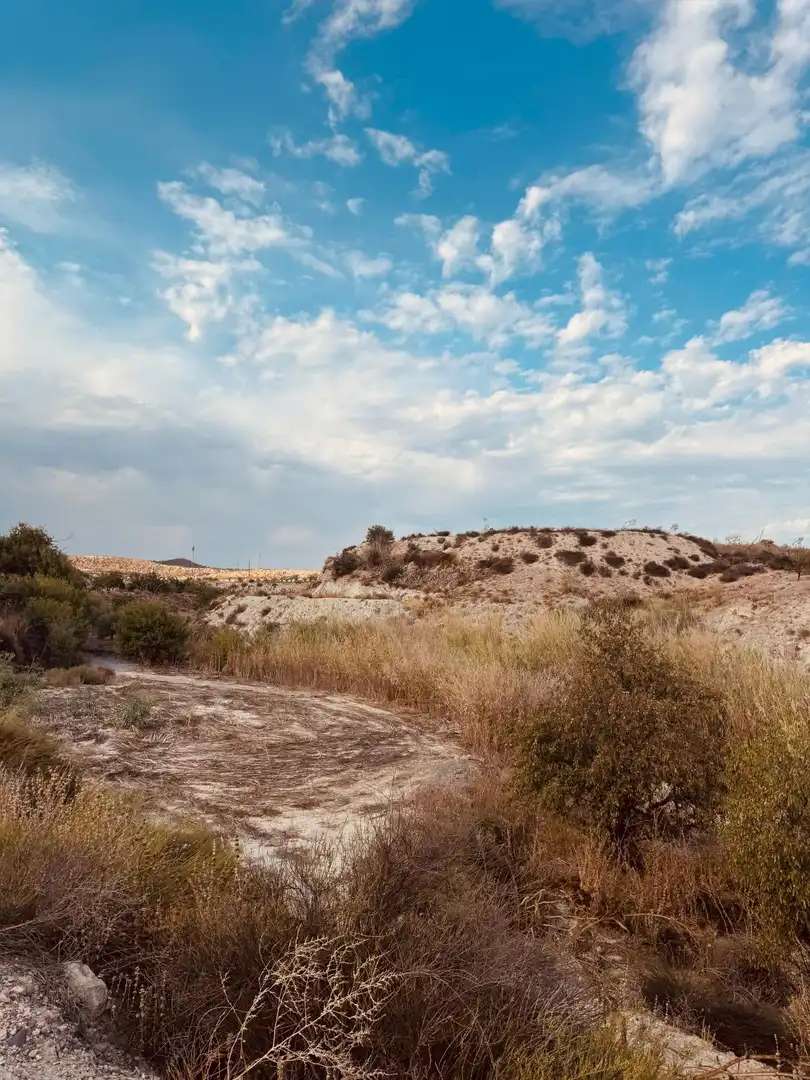 Terrain rustique à vendre à Campo de Murcia, imagen 2