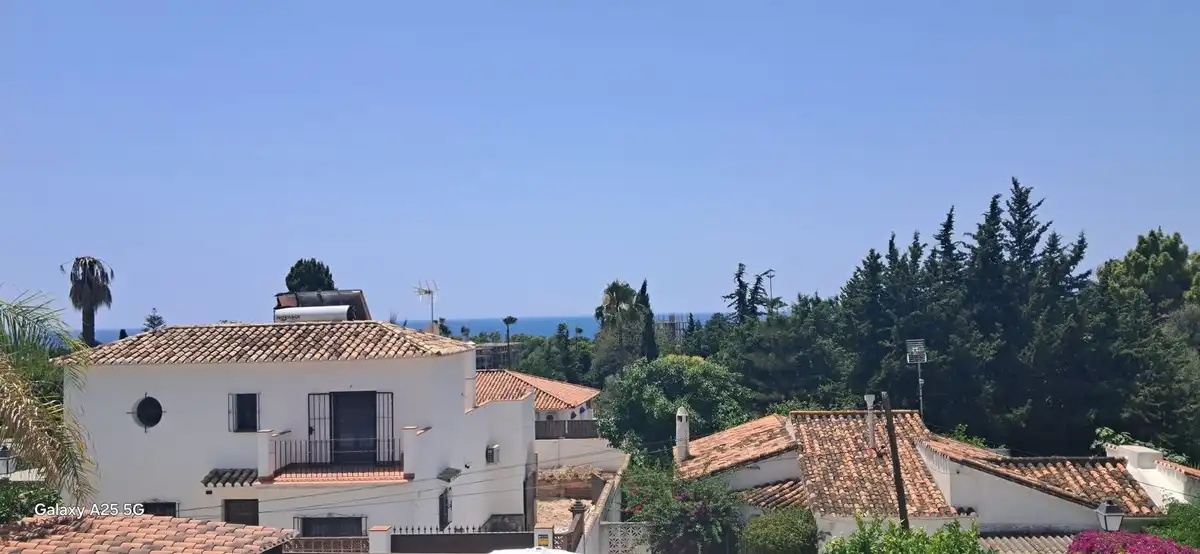 Vista exterior de Casa o chalet en venta en Marbella con Terraza y Piscina