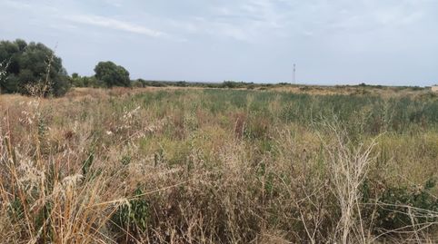 Terreno liso con acciones de agua 17.000m2  en Torreblanca, immagine 3