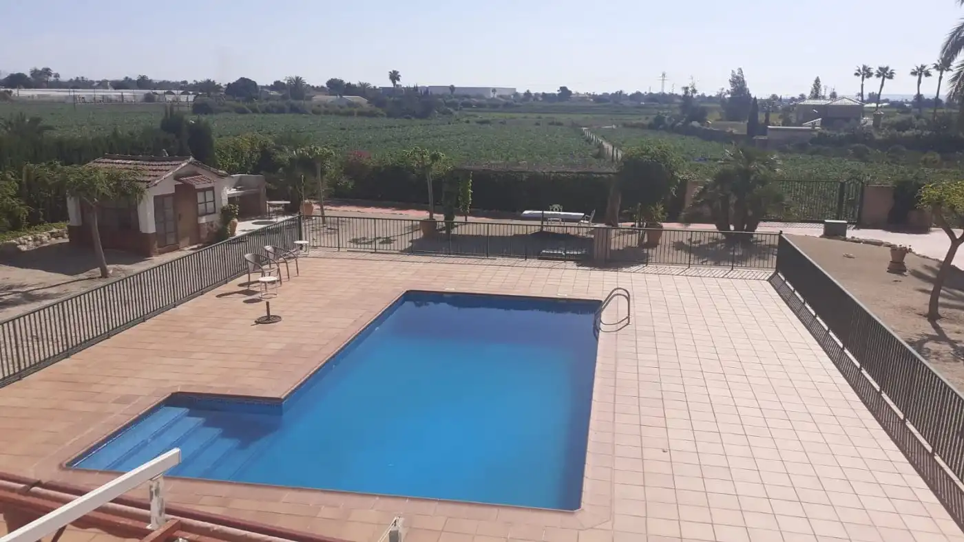Piscina de Casa o xalet en venda en Elche / Elx amb Aire condicionat, Jardí privat i Terrassa
