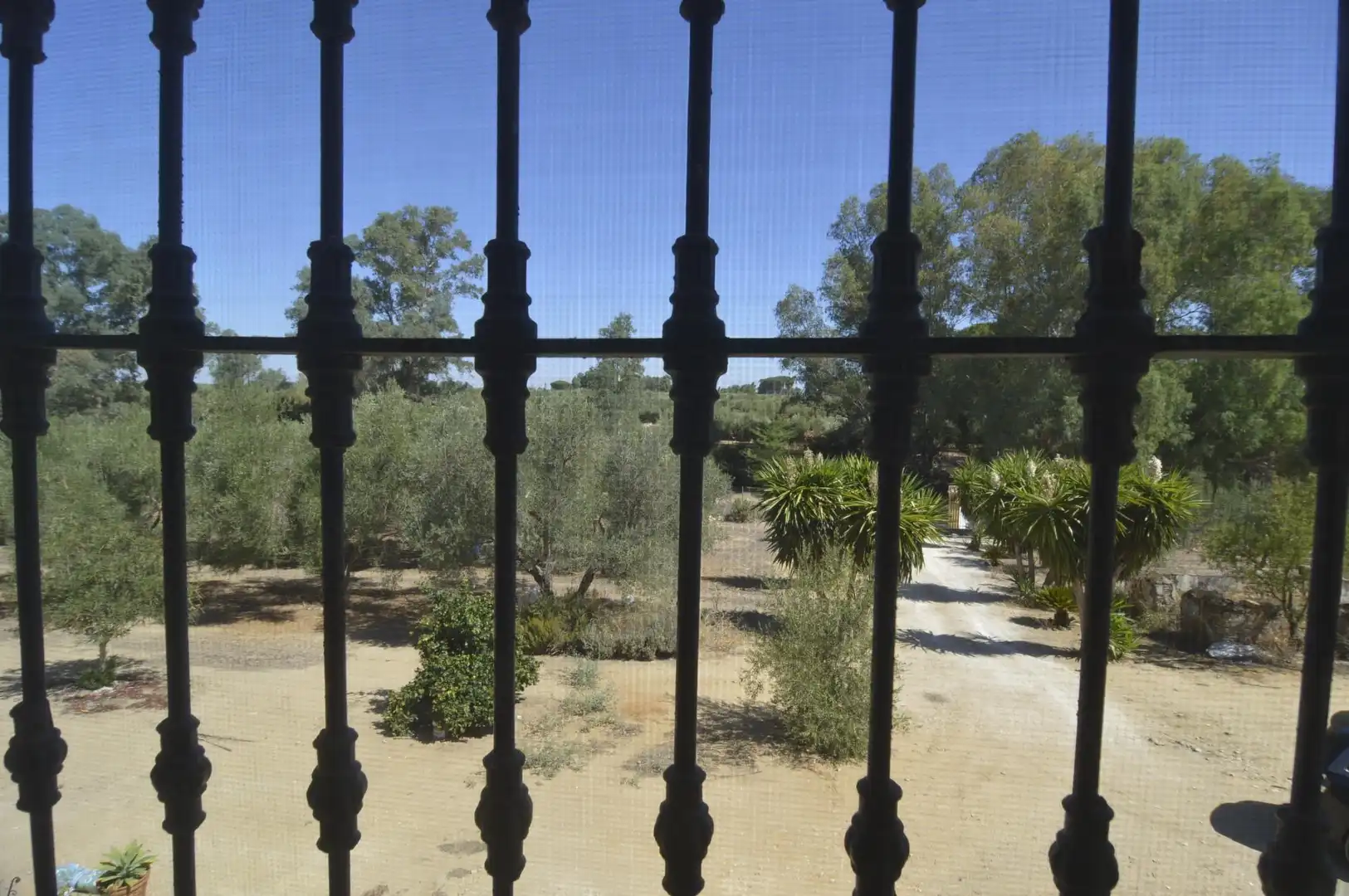 Casa rústica amb jardí en venda a Marchena, imagen 32