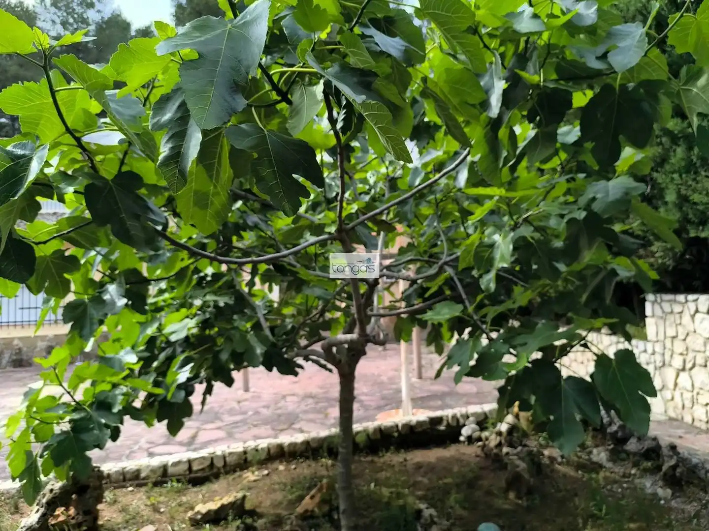 Chalet con piscina en venta en Xàtiva, imagen 14