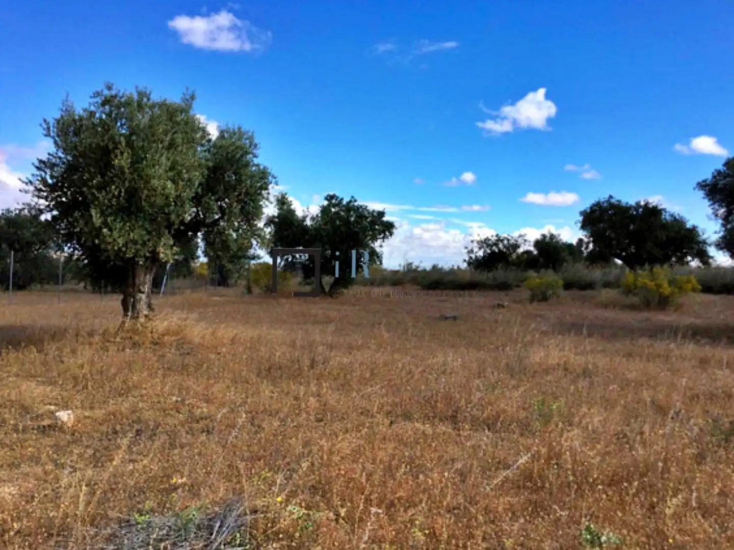 Terreny residencial en venda a Los Cigarrales - La Bastida, imagen 3