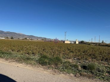 Terreny industrial en venda a Poligono 34 Paraje 138 Lebor Bajo