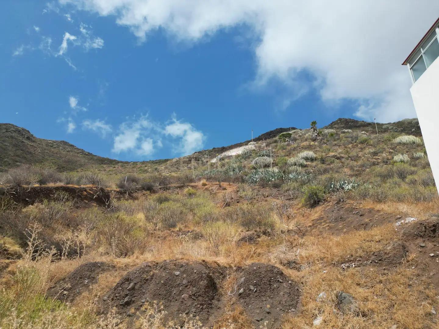 Land for sale in Calle el Cercado, San Andrés, Santa Cruz de Teneri, -1, Anaga