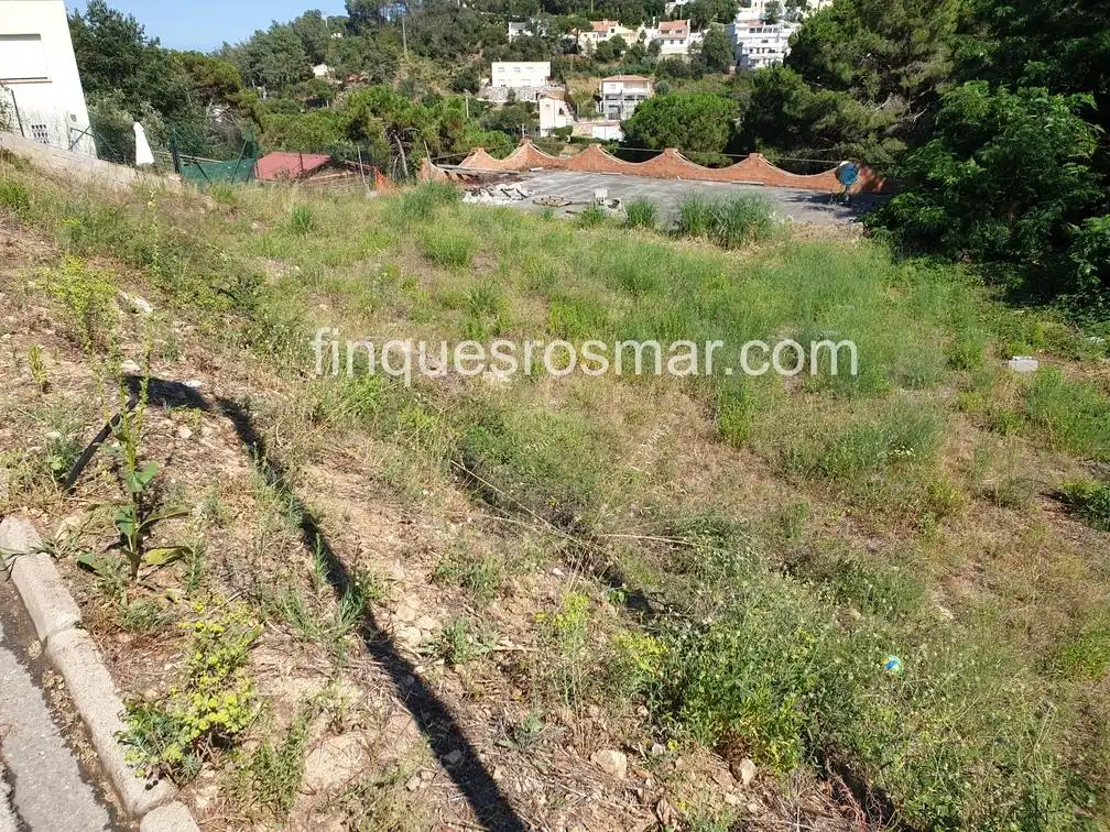 Terrenos y solares en venta en Serra Brava, imagen 5