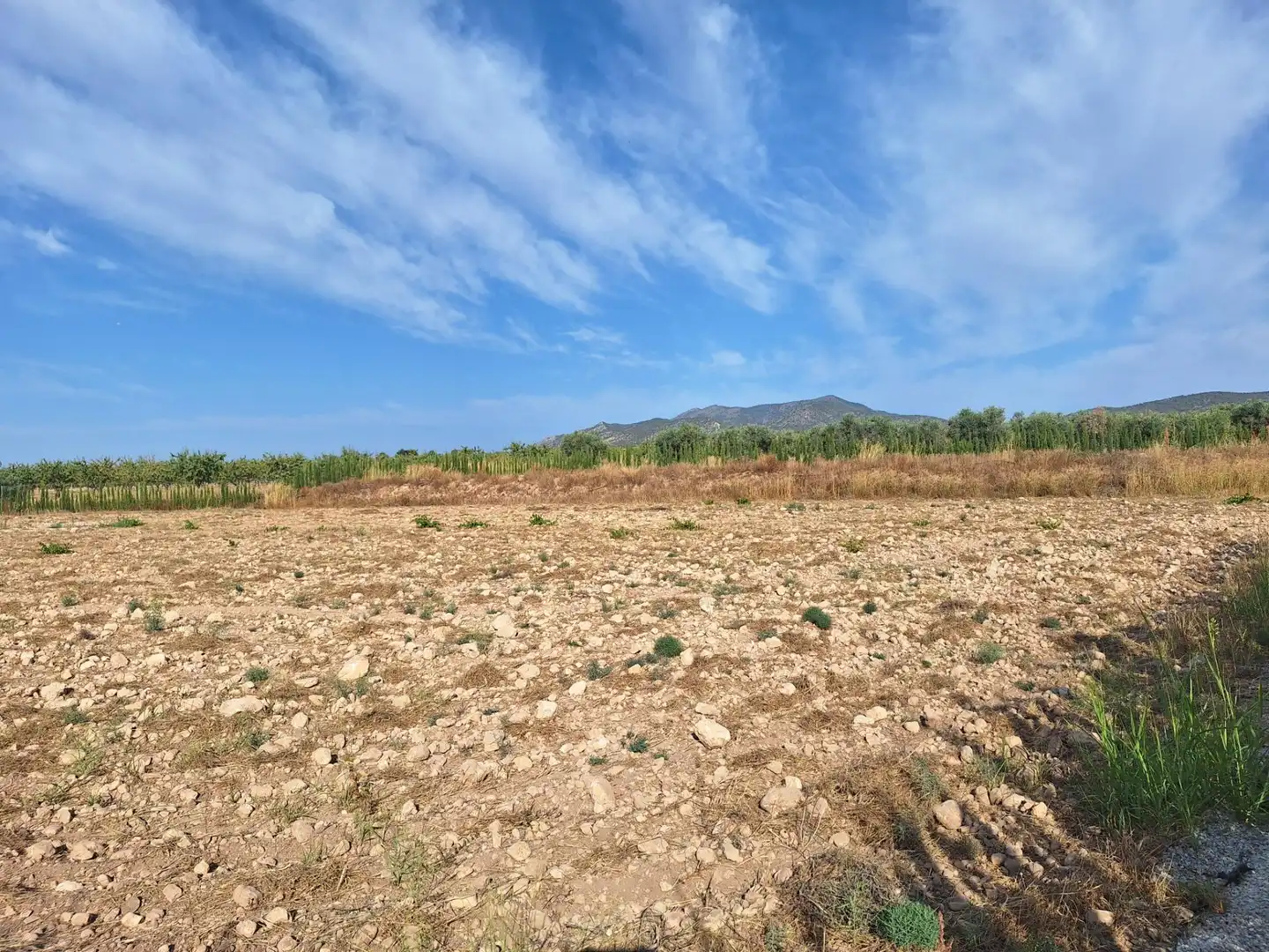 Terreno rústico en venta en El Pinós / Pinoso, imagen 10