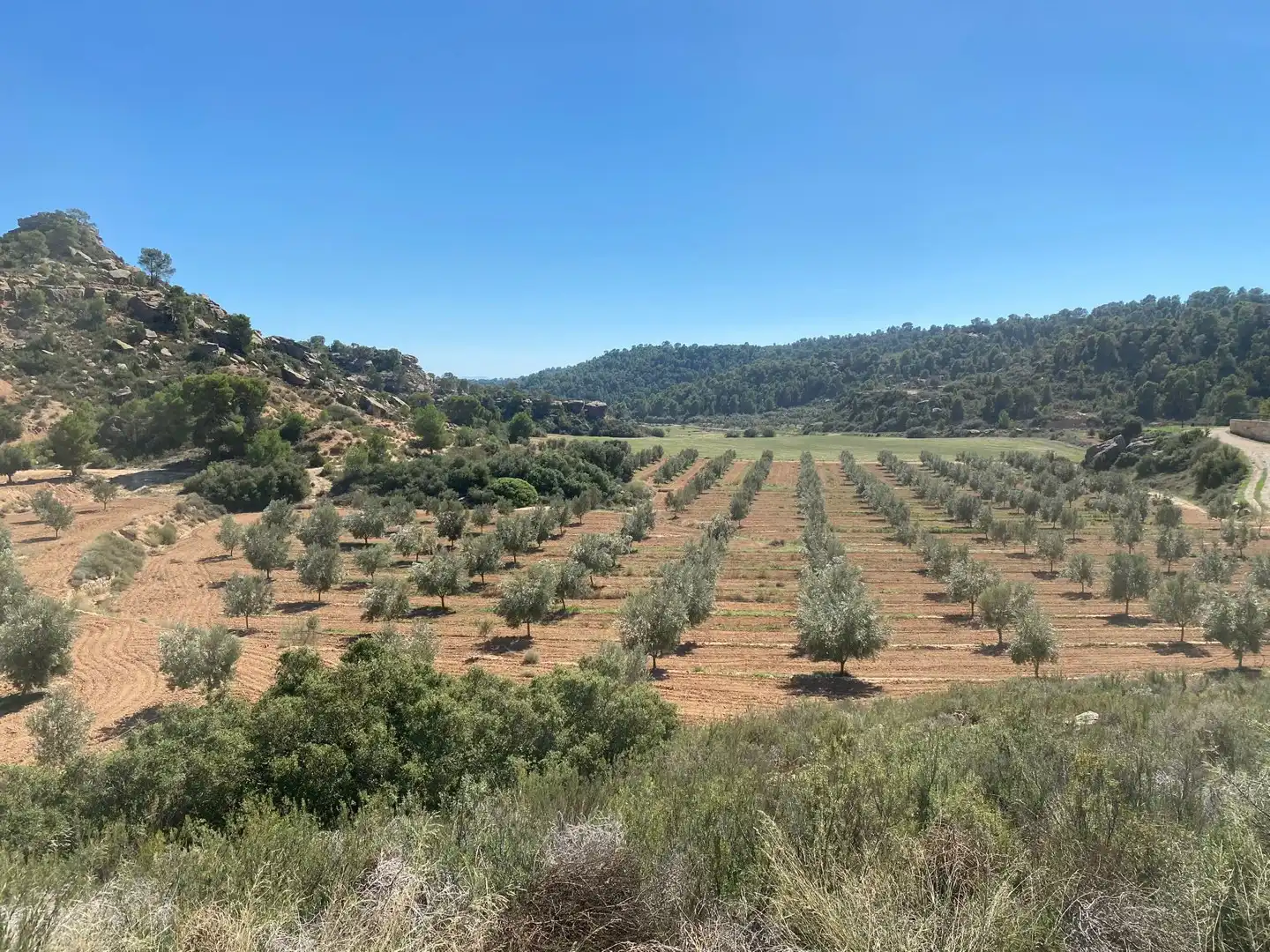 Casa o chalet en venta en Alcañiz con Terraza