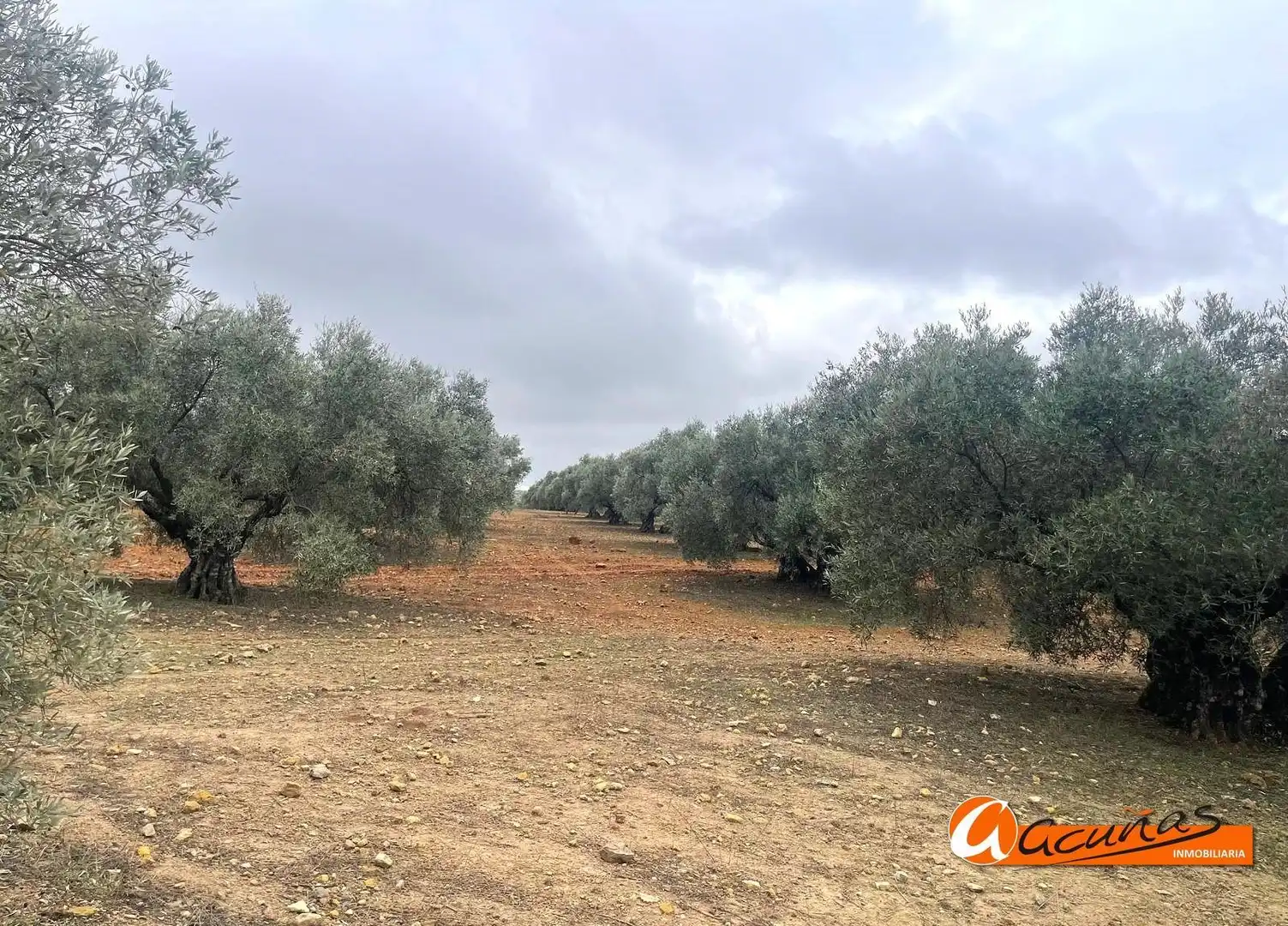 Terrenos y solares en venta en Alameda, imagen 33