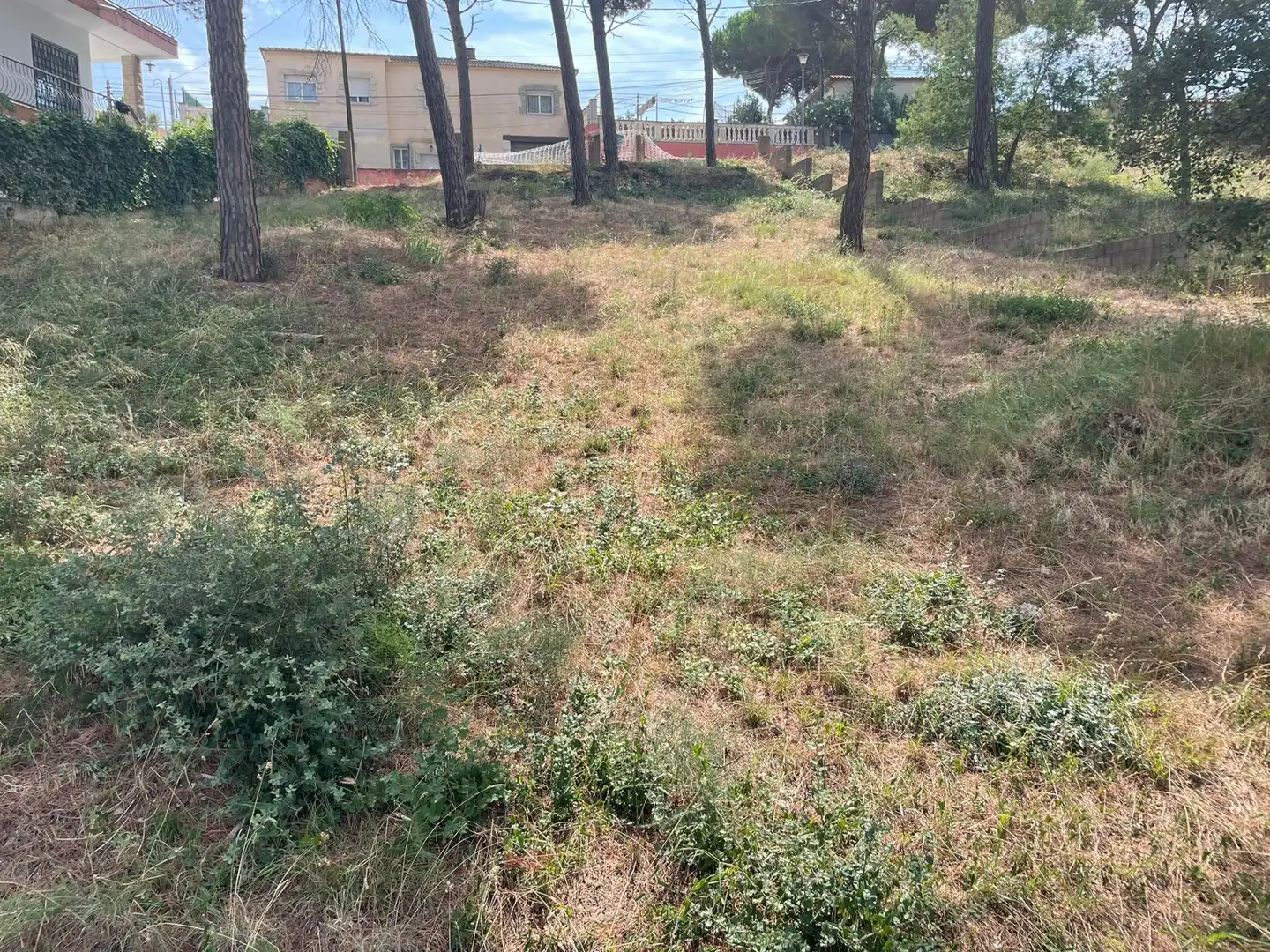 Terreno residencial en venta en Mas Mora - Sant Daniel, imagen 11