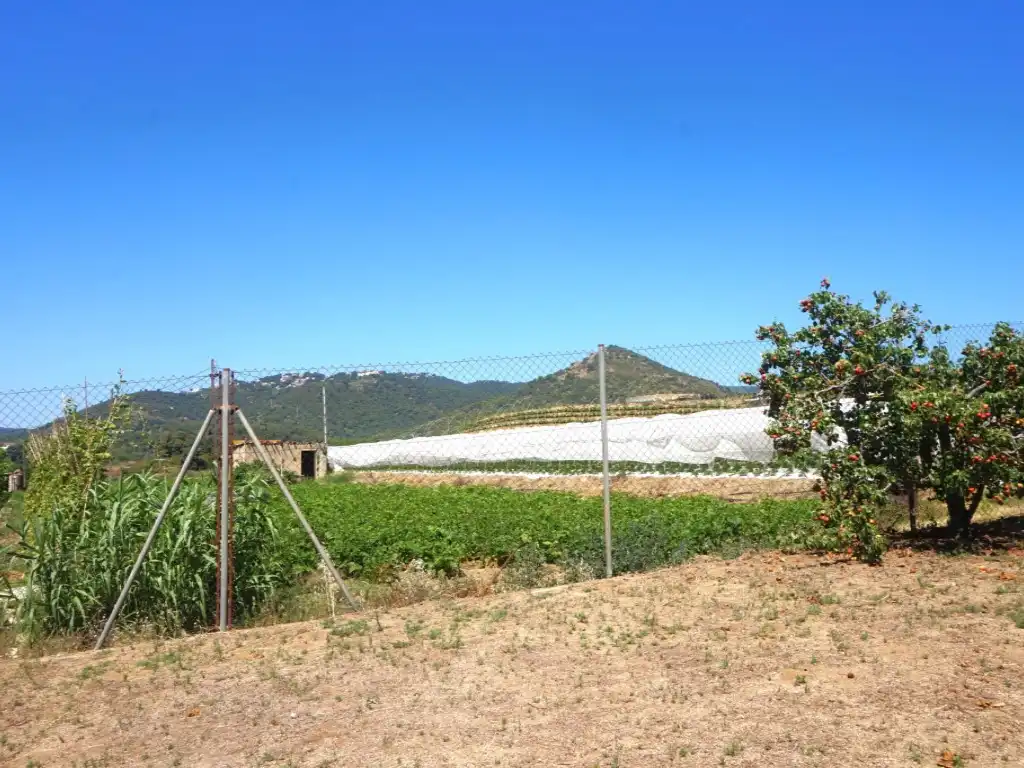 Houses for sale in Pineda de Mar