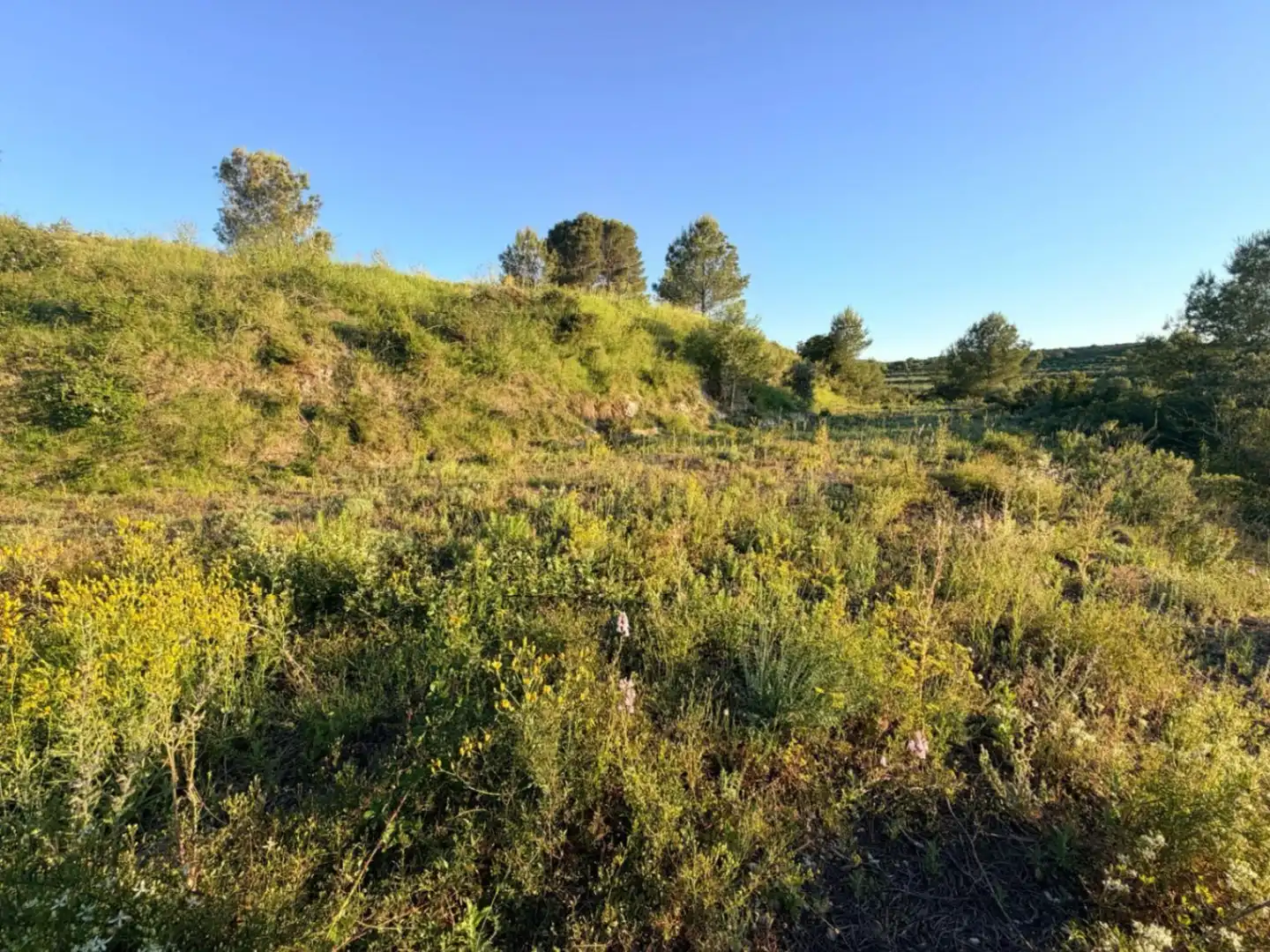 Terreny residencial en venda a El Juncal - Vallealto, imagen 16
