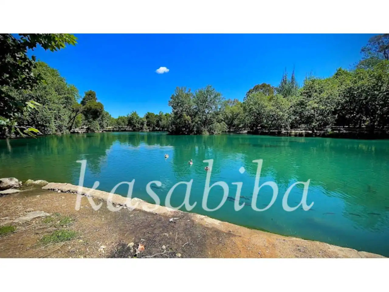 Piscina de Casa o chalet en venta en Sellent