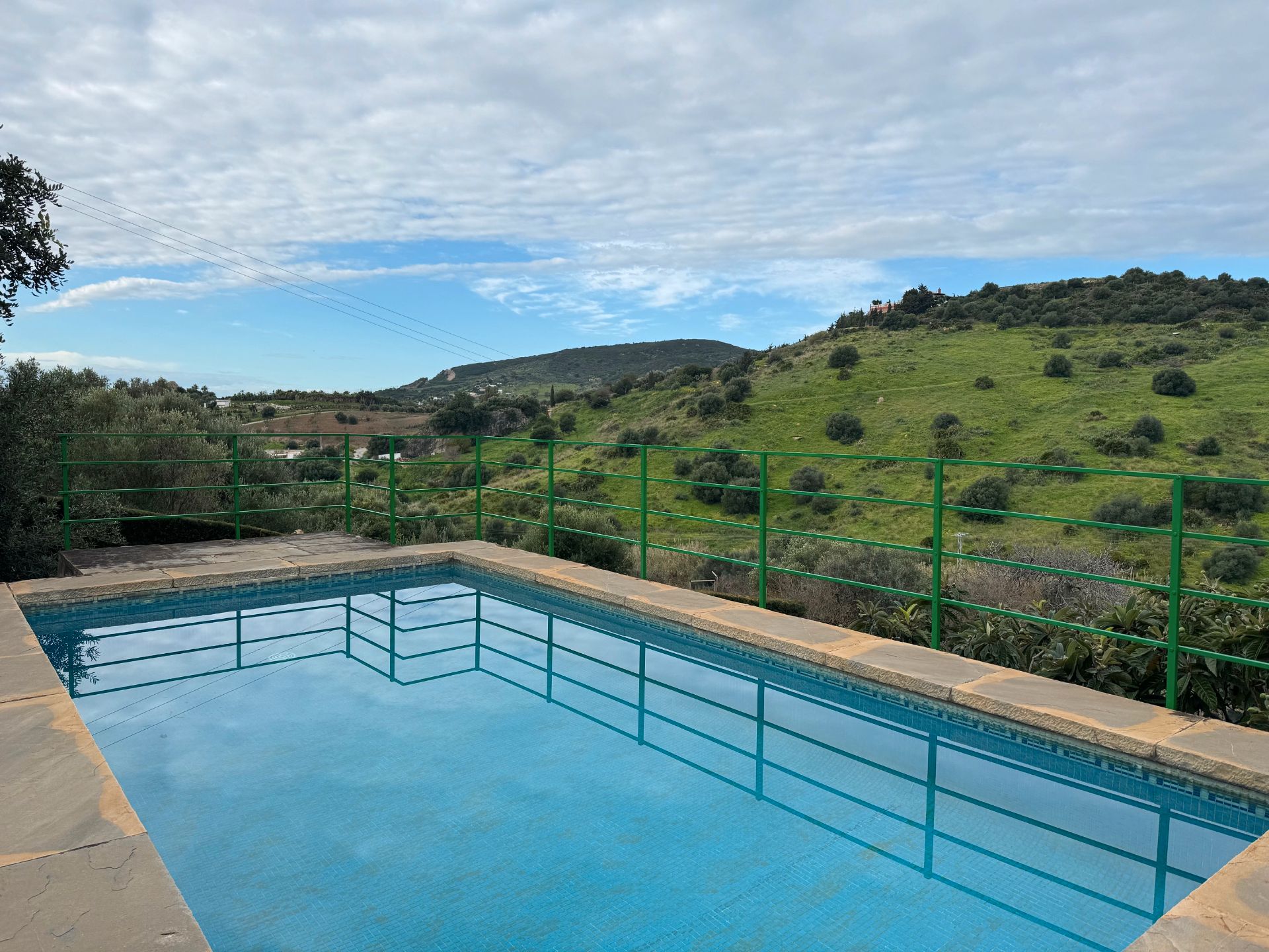 Piscina de Casa o xalet en venda en Estepona amb Jardí privat, Terrassa i Piscina