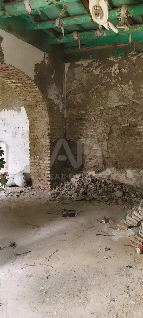 Finca rústica en venta en Écija