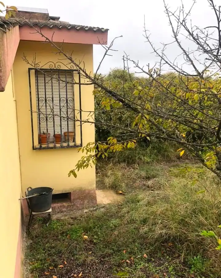 Rustikales Grundstück zum Verkauf in El Cortijo, imagen 13