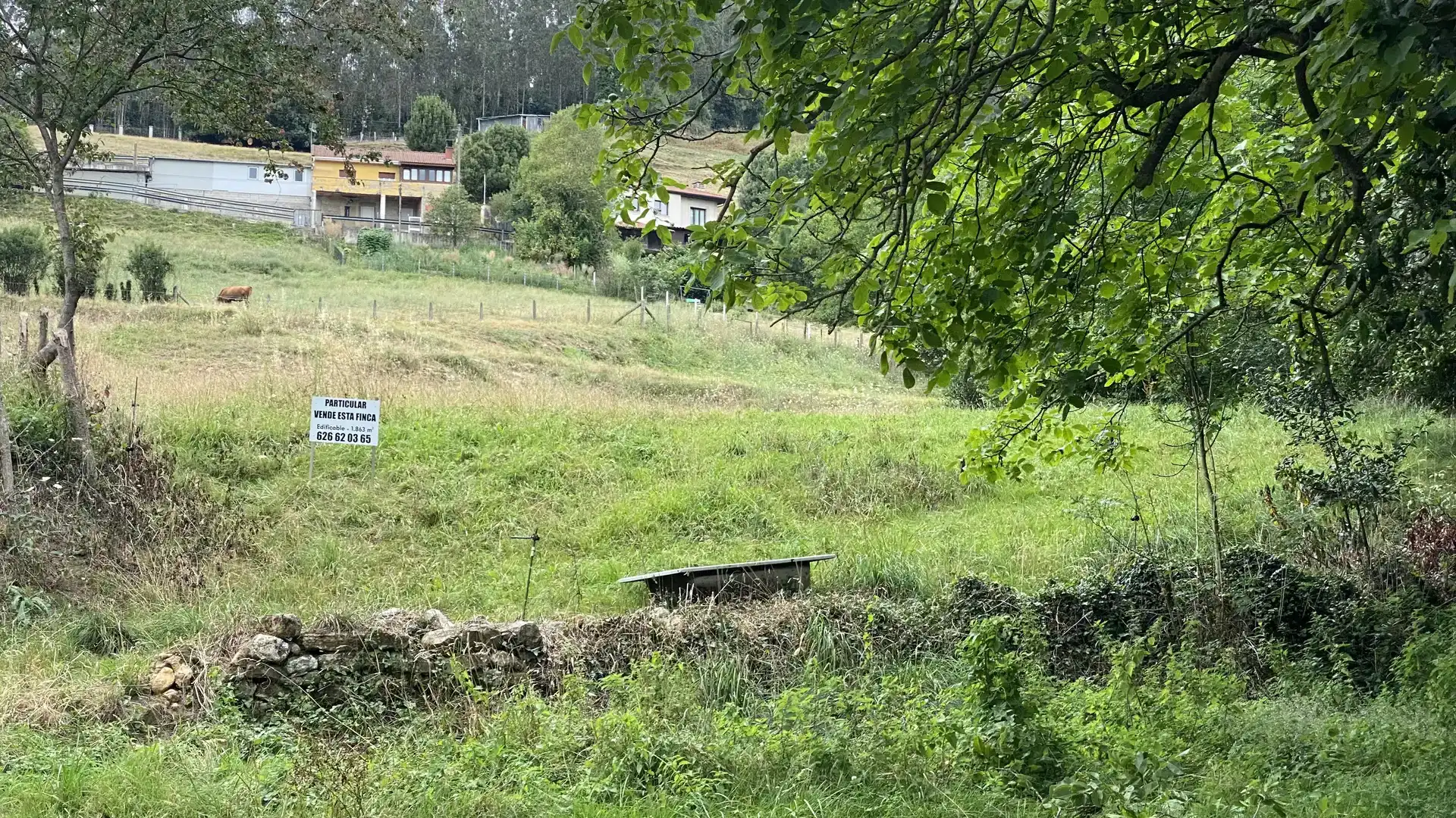 Pis en venda en Llanera