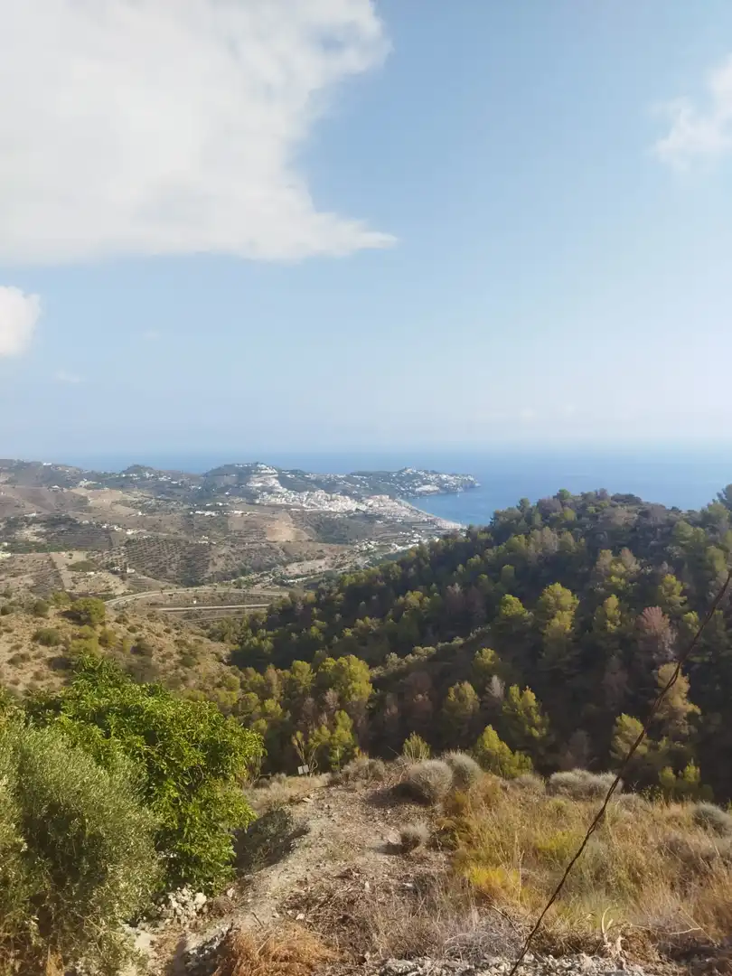 Vista exterior de Finca rústica en venda en Almuñécar amb Jardí privat, Terrassa i Piscina