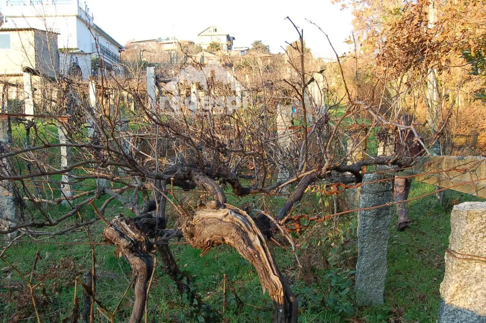 Terrenys i solars en venda a Ponteareas, imagen 4