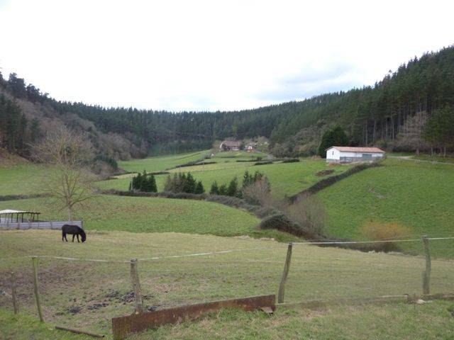 Finca rústica en Venta en BI-633 en Berriatua