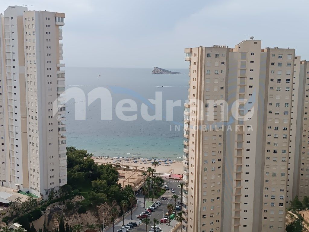 Vista exterior de Pis en venda en Benidorm amb Jardí privat, Piscina i Moblat