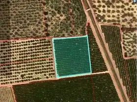 Terreny rústic en venda a Santa Bàrbara, imagen 11