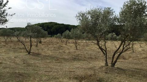 Foto 2 de Finca rústica en venta en Almonte ciudad, Almonte