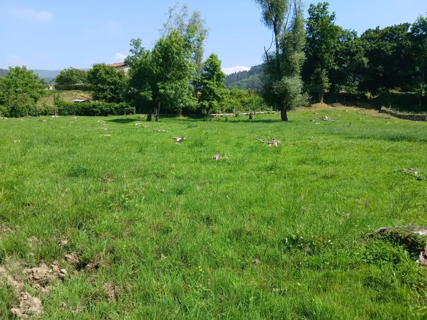 Terreni e lotti in vendita a San Felices de Buelna, imagen 13