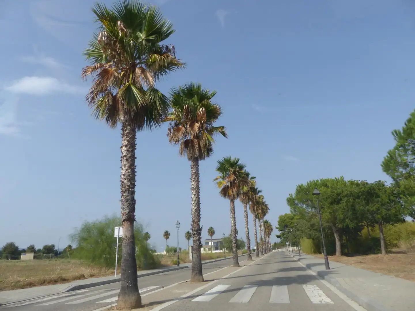 Außenansicht von Residential zum Verkauf in Reus