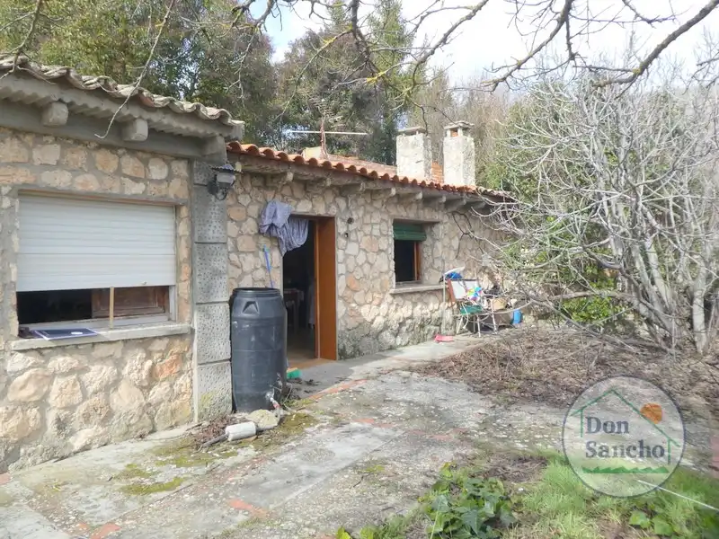 Exterior view of Houses for sale in Olivares de Duero